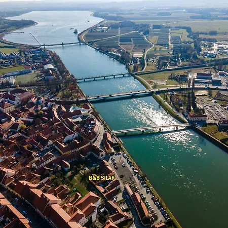 Silak Ptuj